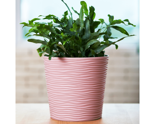 Ghiveci de flori cu insertie Fiujin d12*11 cm Aleana