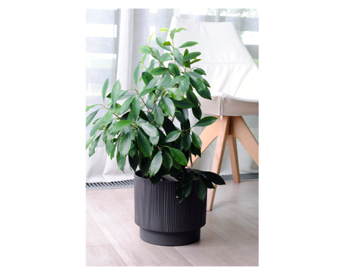 Ghiveci Oslo cu insertie si suport decorativ d30 cm Aleana